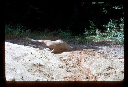 Slide972.jpg